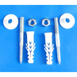 Screw with wall plug for sink mounting (10MMx10CM)