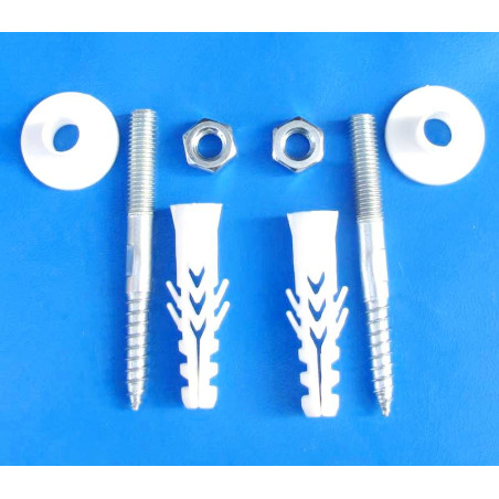 Screw with wall plug for sink mounting (10MMx10CM)