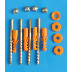 Screw with wall plug for WC mounting