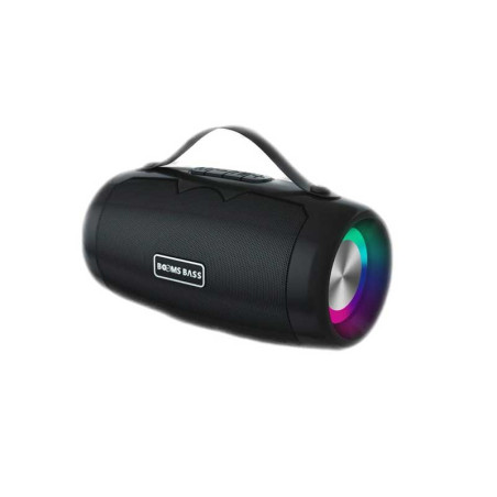 TWS/USB/SD/SD/FM/AUX portable speaker
