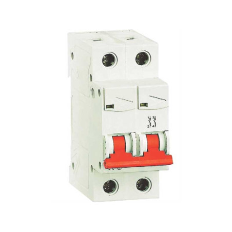 Bipolar fuse (32A)