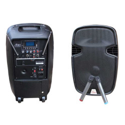 Aktives Gehäuse 10 Zoll 2110ADM-CB USB/SD/FM/BT/ACCU/2MIC Alien
