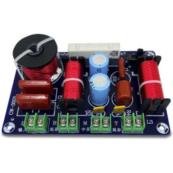3cai Speaker Filter 250W CW-3003