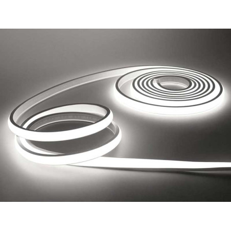 Neon decor 220V 240 COB LEDs/m roll 50m