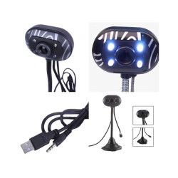 Webcam with gooseneck microphone