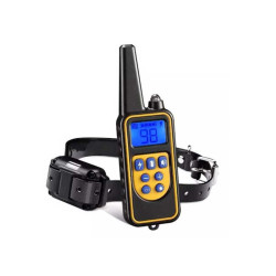 Dog training device with remote