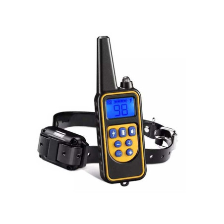 Dog training device with remote