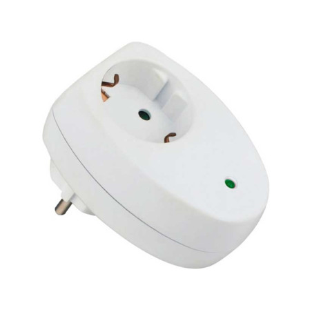 Alien surge protected socket outlet