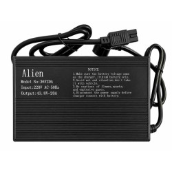 Ladegerät für Roller, elektrisches Dreirad Lithium 43,8V 20A