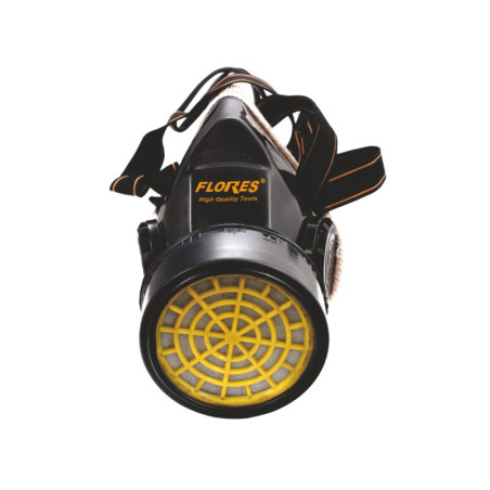 Dust mask with filter