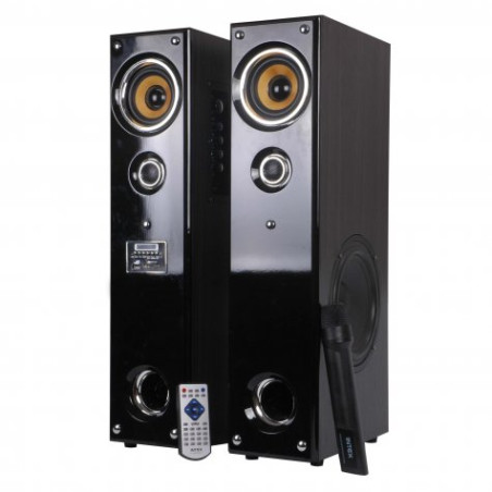 Audio system 2 towers FM/SD/USB/Intex microphone