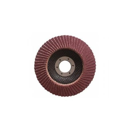 Flap disc with sandpaper 115MM-(P100)