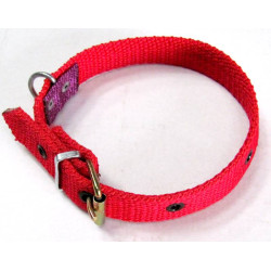 Synthetic dog collar (2.5CMx50CM)-No.110