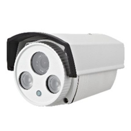 IP surveillance camera EJC130N