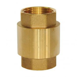 Bronze check valve of 1