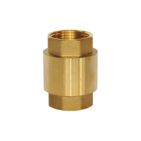 Bronze check valve of 1