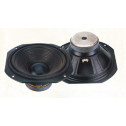 Speaker 38cm 15inch HWF-0315 Alien 4ohm