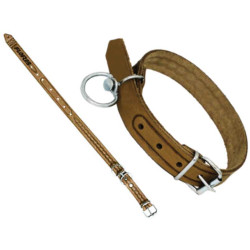 Hundehalsband aus Leder (2CMx40CM)-Nr. 298