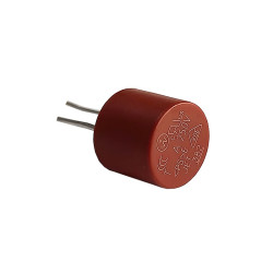 Time delay fuse 4A TR5