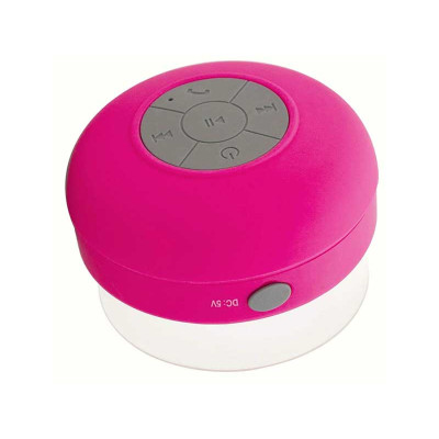 Portable bathroom speaker with BT