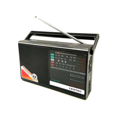 Radio Leotec LW 317