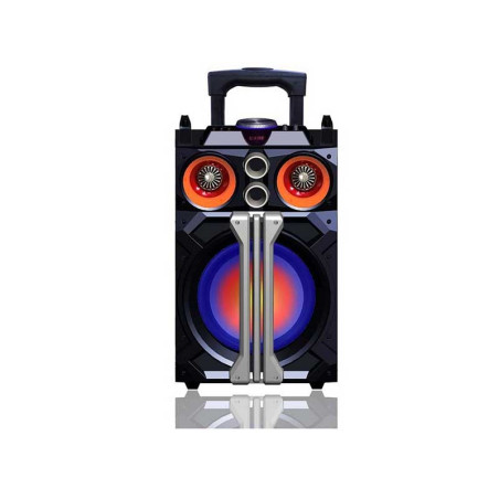 Active ABS enclosure 2318 ACCU/BT Intex