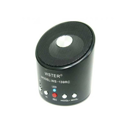 Radio z MP3 Wster WS-139RC