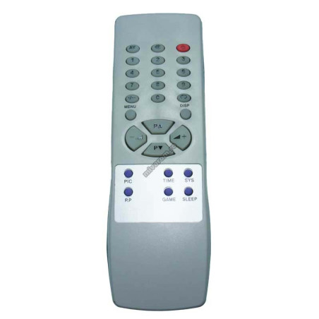 Ivory remote control