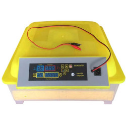 Automatic egg incubator 48 eggs dual power