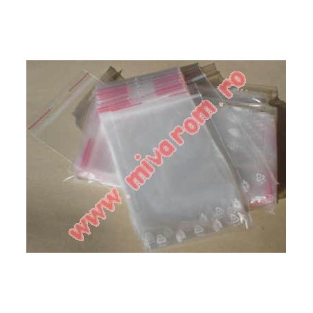 Zipper bags 100x100mm 100 pcs