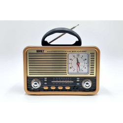 Funkgerät Rovolt NS 8898BT