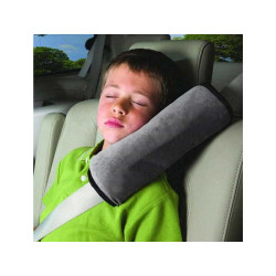 Seatbelt cushion