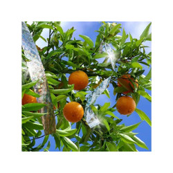 Taśma odstraszająca wrony