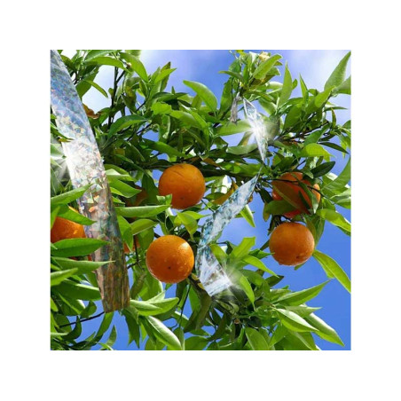 Taśma odstraszająca wrony