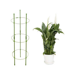 Suport cilindric pentru plante