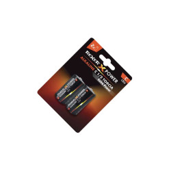 Set of 2 alkaline batteries R14 Rexer