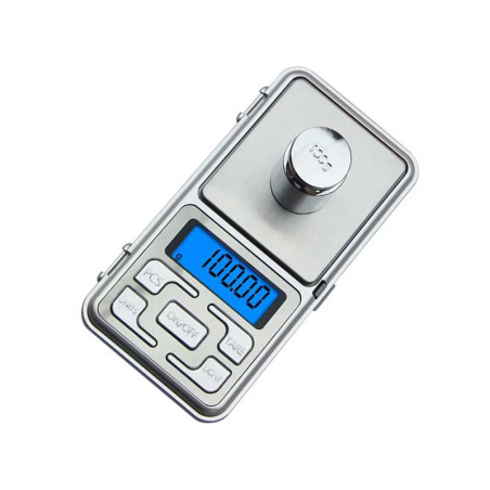 Precision scale 500g/0.1g