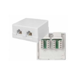 Doppelte UTP-Steckdose cat5