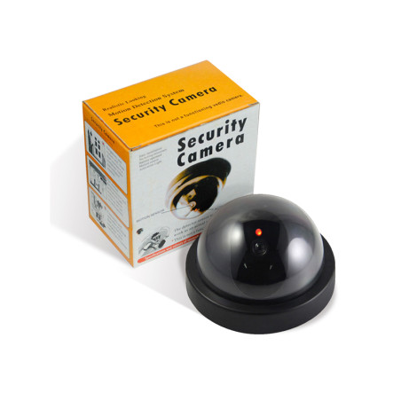 Falsche Decken-Kamera